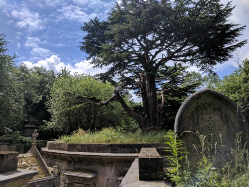 img_20180616_1227541