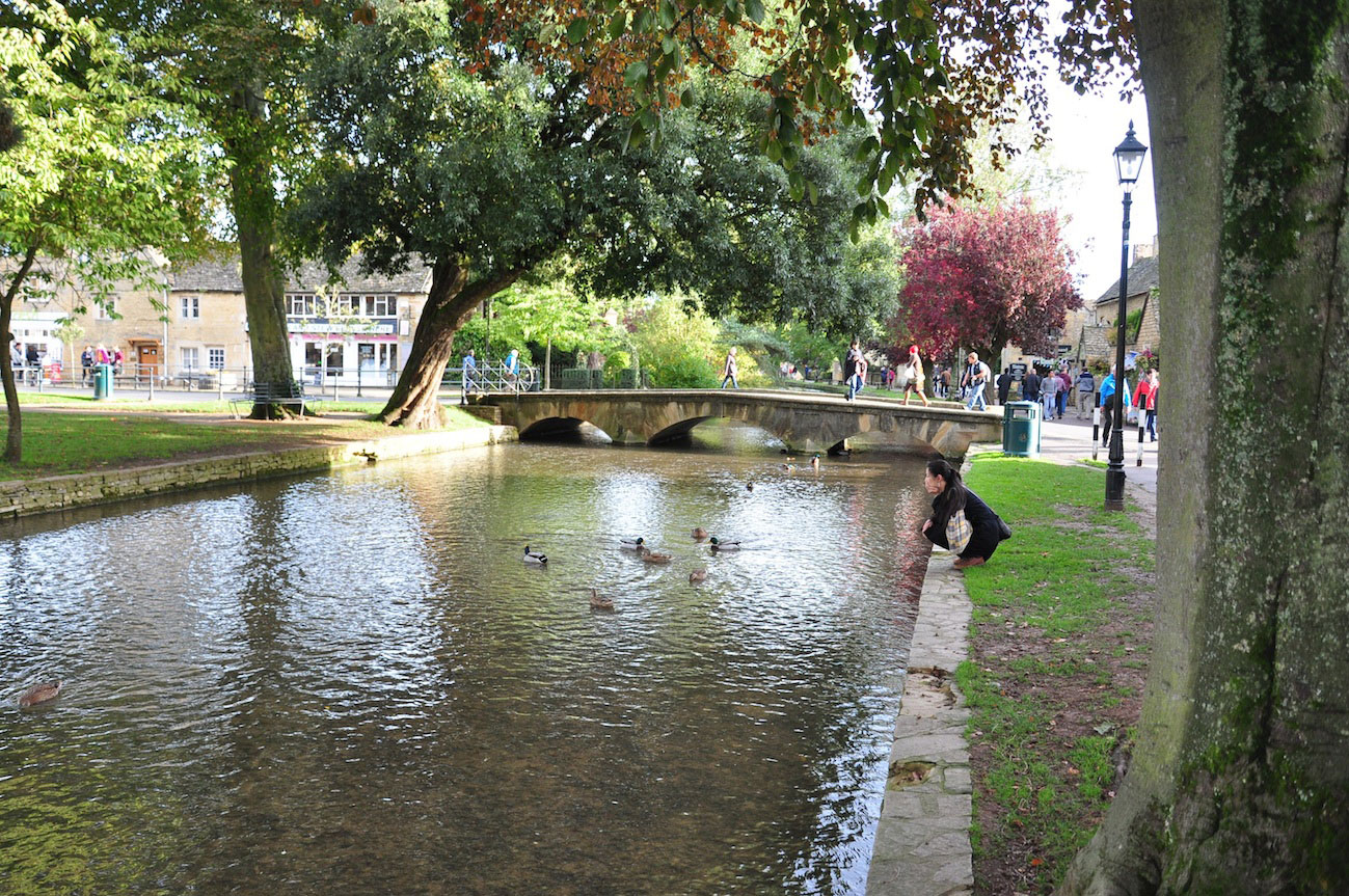 bourton2web