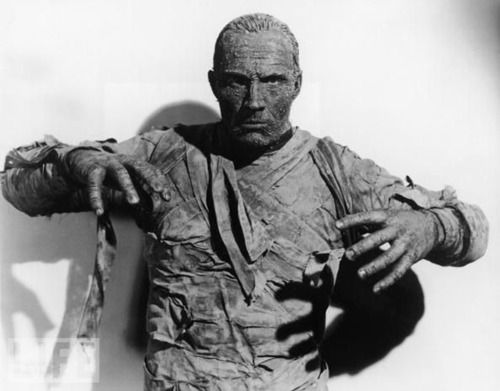 e2e7eea1b8cce86c19506c399ff1e7e9