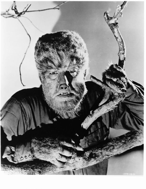 fb5af15c38106dd3acc890f0d8d13b05