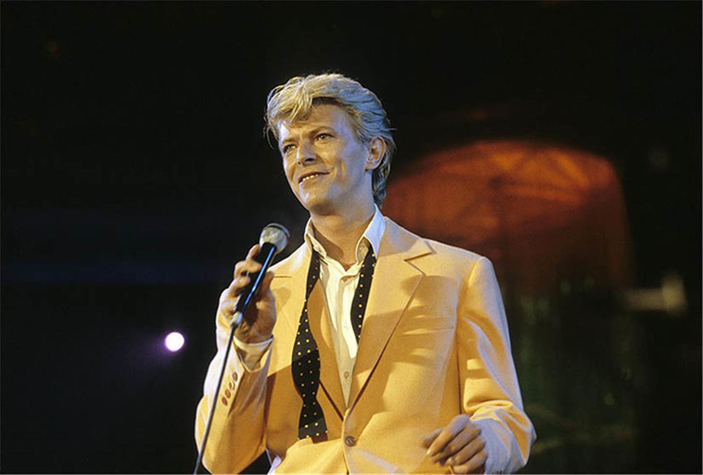 8306_cz_bowie_003b684